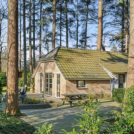Rustig Boshuis Lunteren, Veluwe, Tuin En Haard