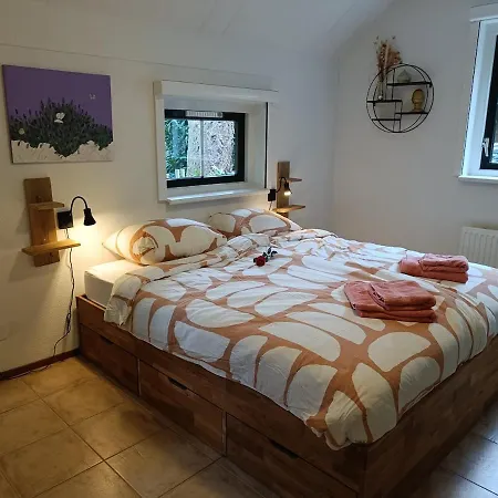 Rustig Boshuis Lunteren, Veluwe, Tuin En Haard Ferienhaus *