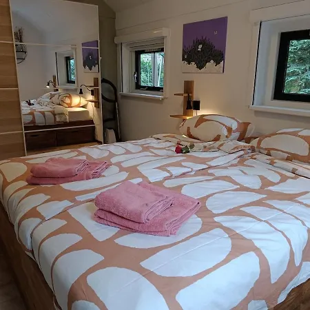 Rustig Boshuis Lunteren, Veluwe, Tuin En Haard Ferienhaus Lunteren