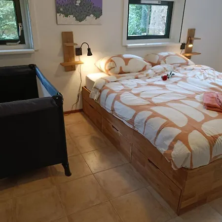 Ferienhaus Rustig Boshuis Lunteren, Veluwe, Tuin En Haard Lunteren