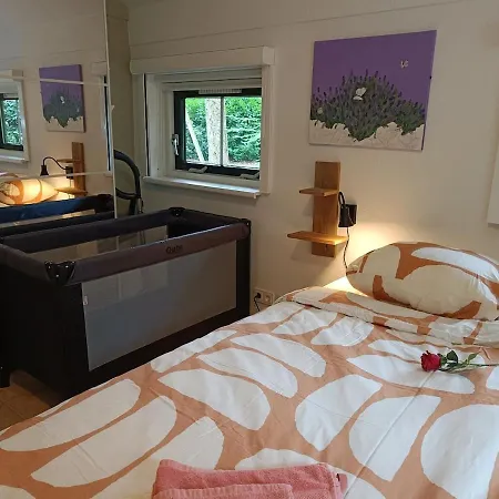 Rustig Boshuis Lunteren, Veluwe, Tuin En Haard Ferienhaus