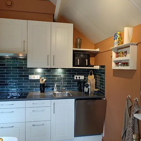 Ferienhaus Rustig Boshuis Lunteren, Veluwe, Tuin En Haard