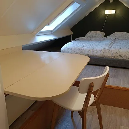 Rustig Boshuis Lunteren, Veluwe, Tuin En Haard Ferienhaus Lunteren