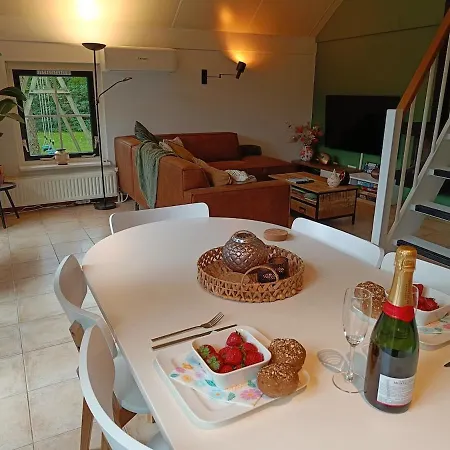 Ferienhaus Rustig Boshuis Lunteren, Veluwe, Tuin En Haard
