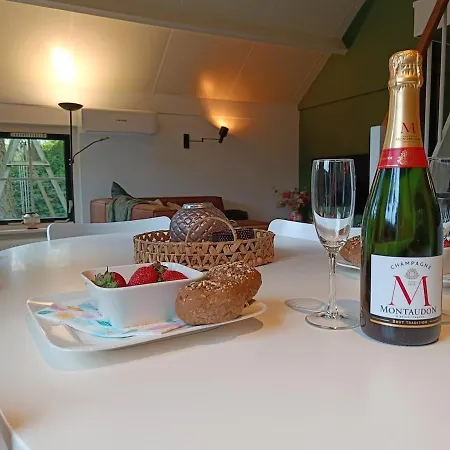 Rustig Boshuis Lunteren, Veluwe, Tuin En Haard Ferienhaus Lunteren