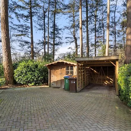 Rustig Boshuis Lunteren, Veluwe, Tuin En Haard Ferienhaus *