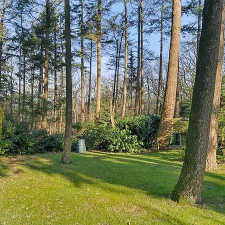 Ferienhaus Rustig Boshuis Lunteren, Veluwe, Tuin En Haard