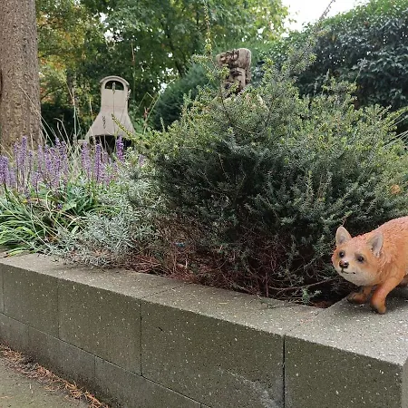 Rustig Boshuis Lunteren, Veluwe, Tuin En Haard Ferienhaus Lunteren