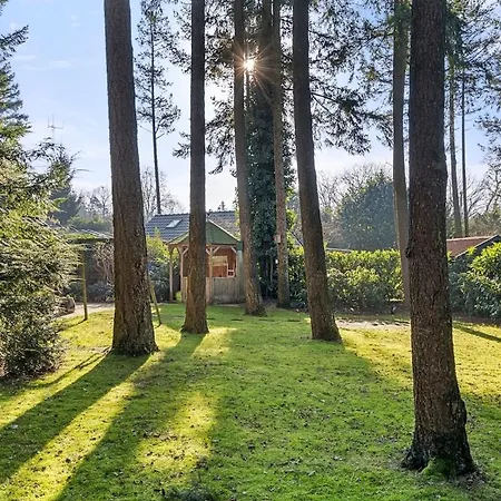 Rustig Boshuis Lunteren, Veluwe, Tuin En Haard * Lunteren