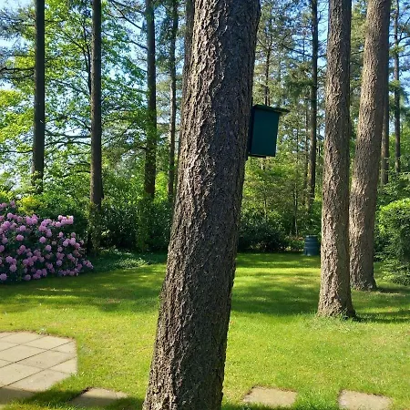 Rustig Boshuis Lunteren, Veluwe, Tuin En Haard *