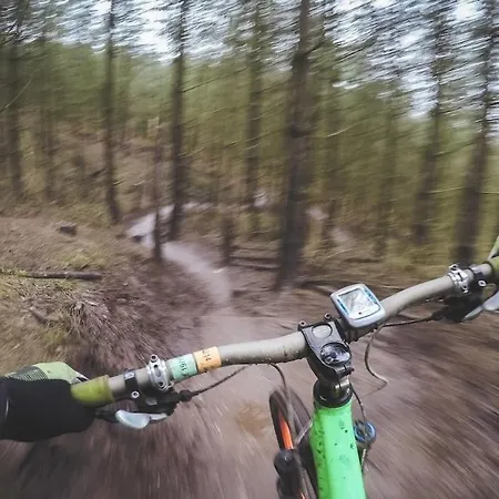 Rustig Boshuis Lunteren, Veluwe, Tuin En Haard Lunteren