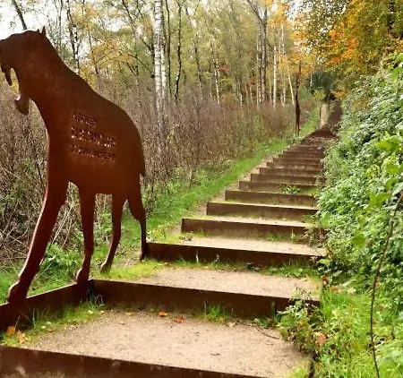 Ferienhaus Rustig Boshuis Lunteren, Veluwe, Tuin En Haard *