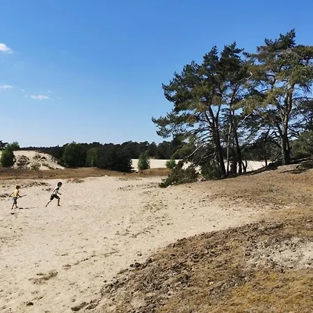 Rustig Boshuis Lunteren, Veluwe, Tuin En Haard